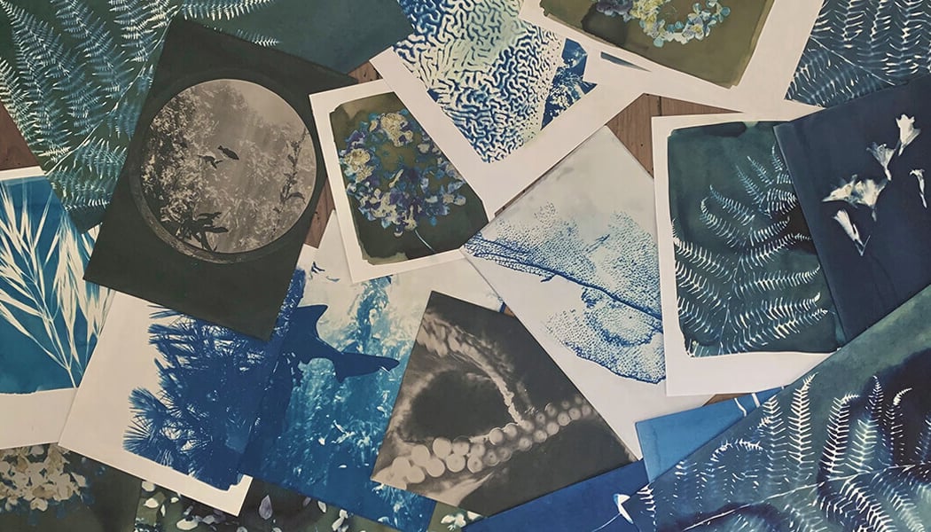 Atelier Cyanotype avec Julia